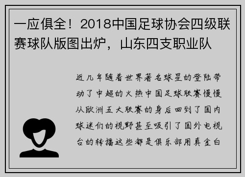 一应俱全!2018中国足球协会四级联赛球队版图出炉,山东四支职业队