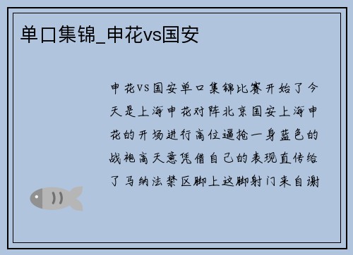 单口集锦_申花vs国安